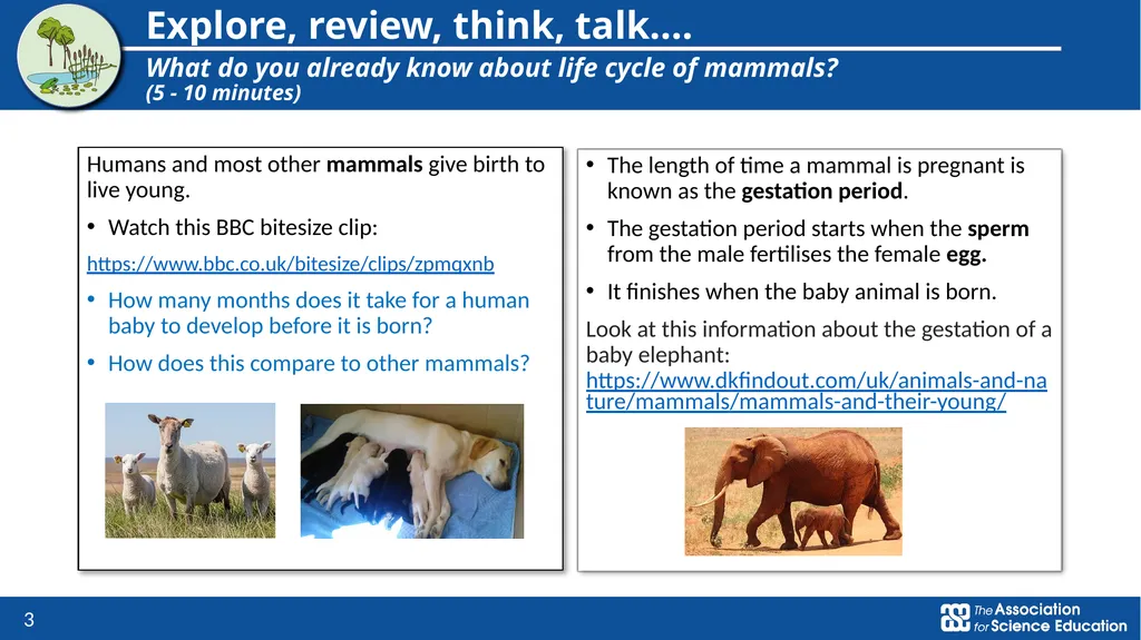 Living things and their habitats Comparing the - slide 3 of 9