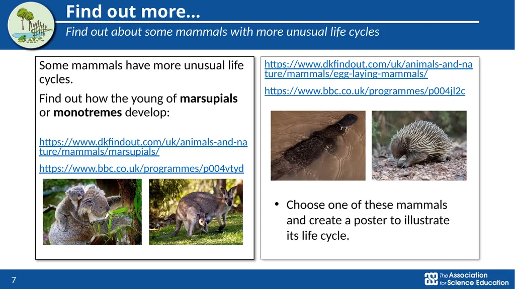 Living things and their habitats Comparing the - slide 7 of 9