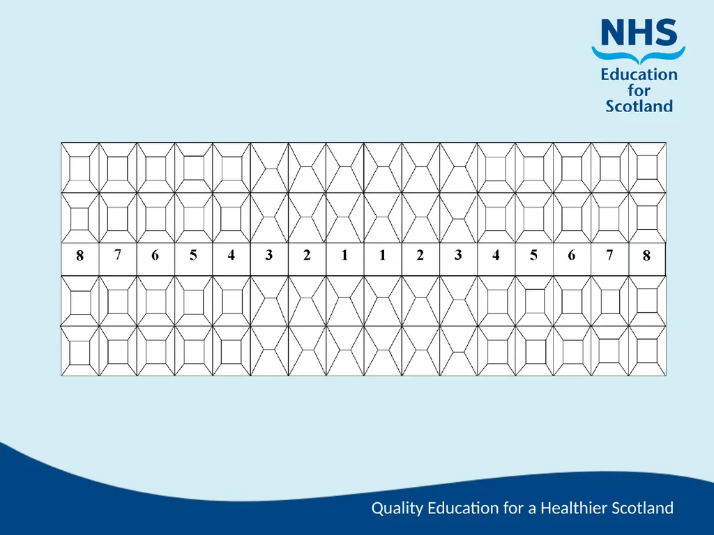 Tooth Morphology (the study of the form of teeth) - slide 59 of 69