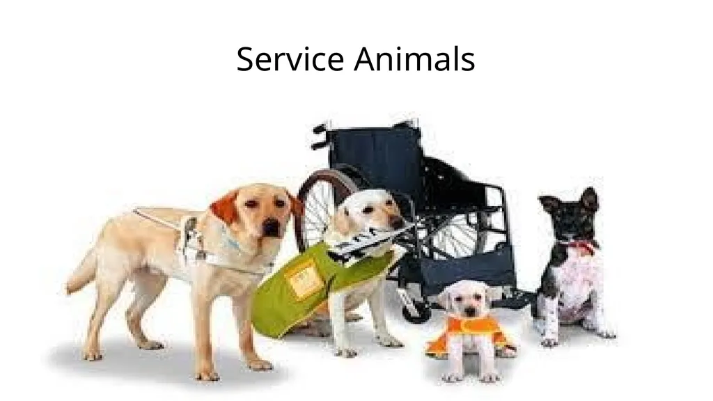 Office of Accommodative Services Helpful Tips - slide 16 of 24