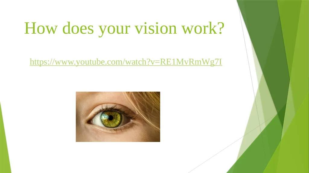 Teaching Students with Visual Impairments For - slide 4 of 23