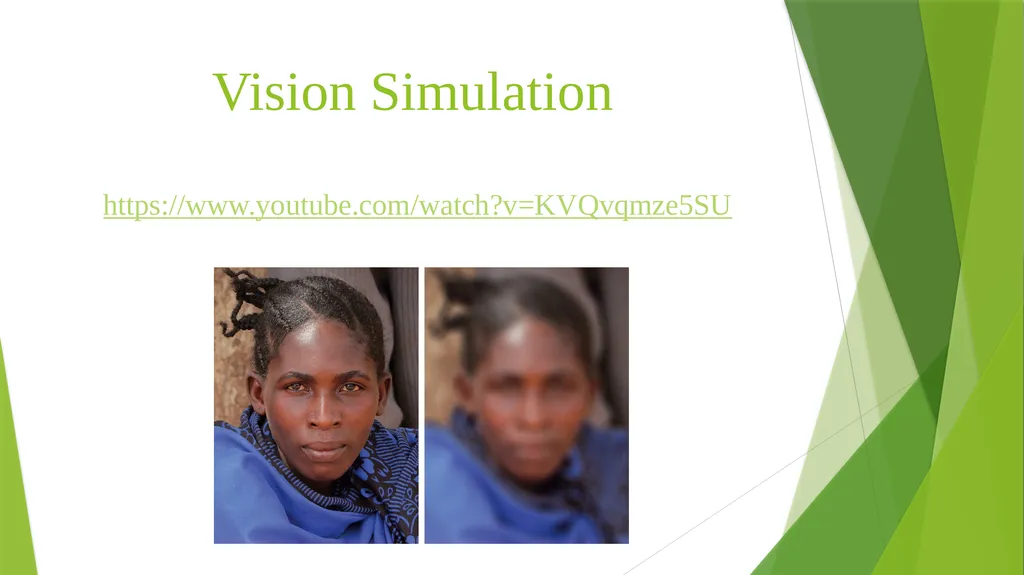 Teaching Students with Visual Impairments For - slide 9 of 23