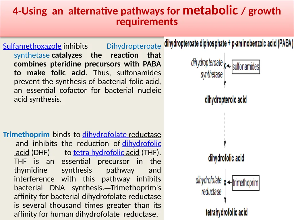 3rd lecture in Antibiotics The Antimicrobial - slide 30 of 32