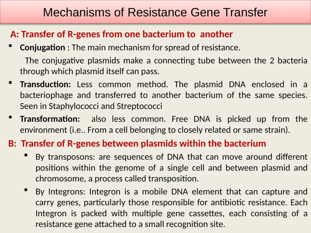 3rd lecture in Antibiotics The Antimicrobial - slide 11 of 32
