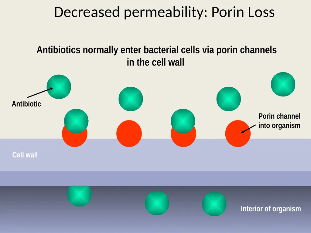 3rd lecture in Antibiotics The Antimicrobial - slide 28 of 32