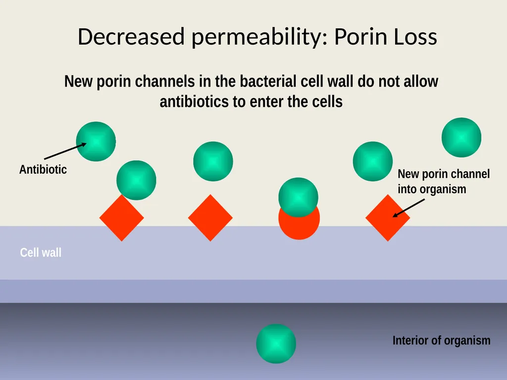 3rd lecture in Antibiotics The Antimicrobial - slide 29 of 32