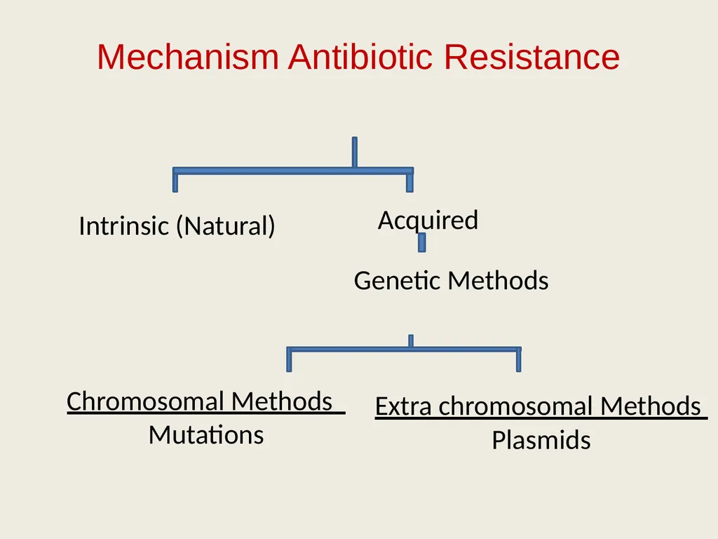 3rd lecture in Antibiotics The Antimicrobial - slide 7 of 32