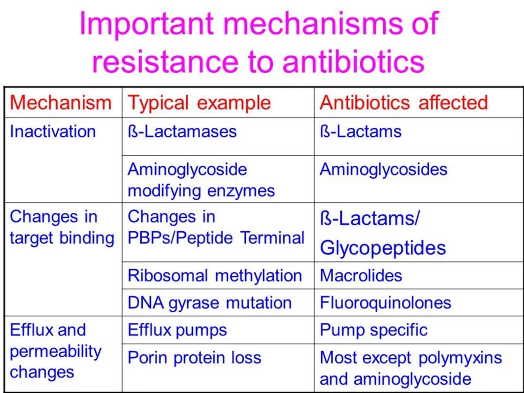 3rd lecture in Antibiotics The Antimicrobial - slide 13 of 32