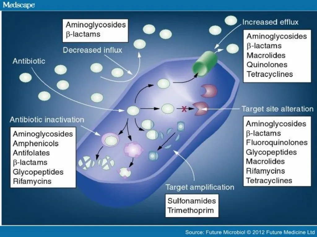 3rd lecture in Antibiotics The Antimicrobial - slide 14 of 32