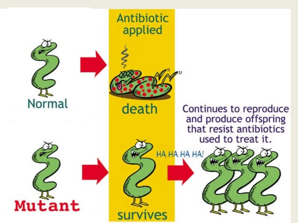 3rd lecture in Antibiotics The Antimicrobial - slide 3 of 32
