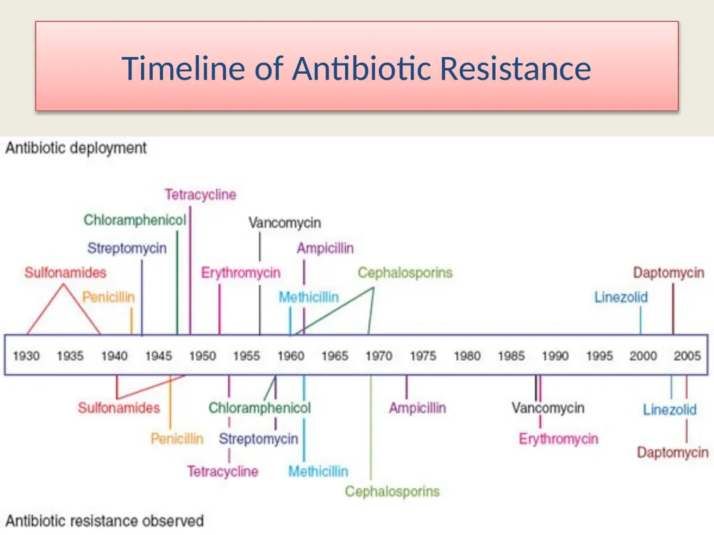 3rd lecture in Antibiotics The Antimicrobial - slide 5 of 32
