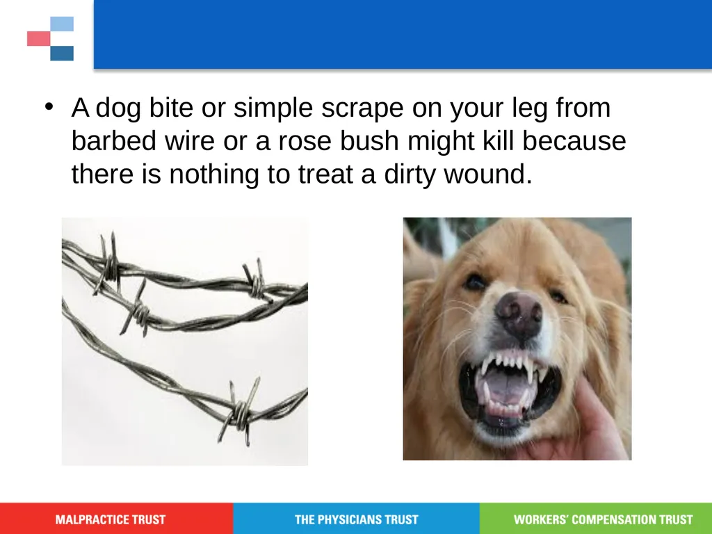 Antibiotic Stewardship Basic Training Objectives - slide 16 of 43