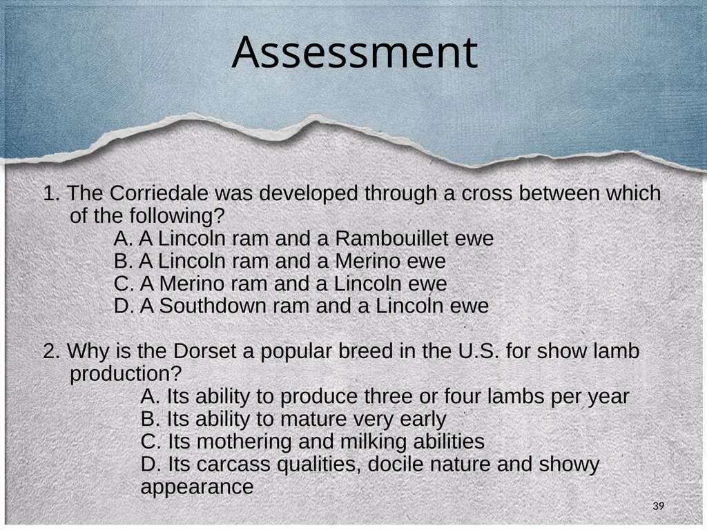 1 Sheep 2 Border Leicester Origin: Northumberland, - slide 39 of 45