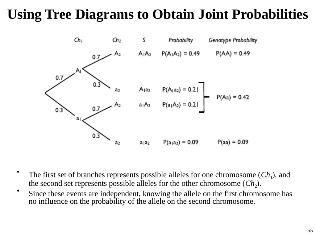Statistical Data Analysis Prof. Dr. Nizamettin - slide 55 of 62