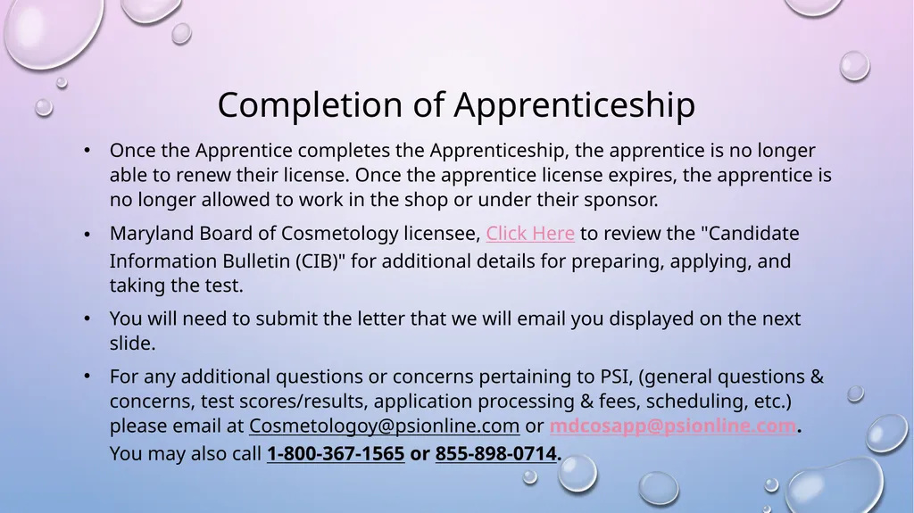 . THE MARYLAND BOARD OF COSMETOLOGISTS - slide 5 of 17
