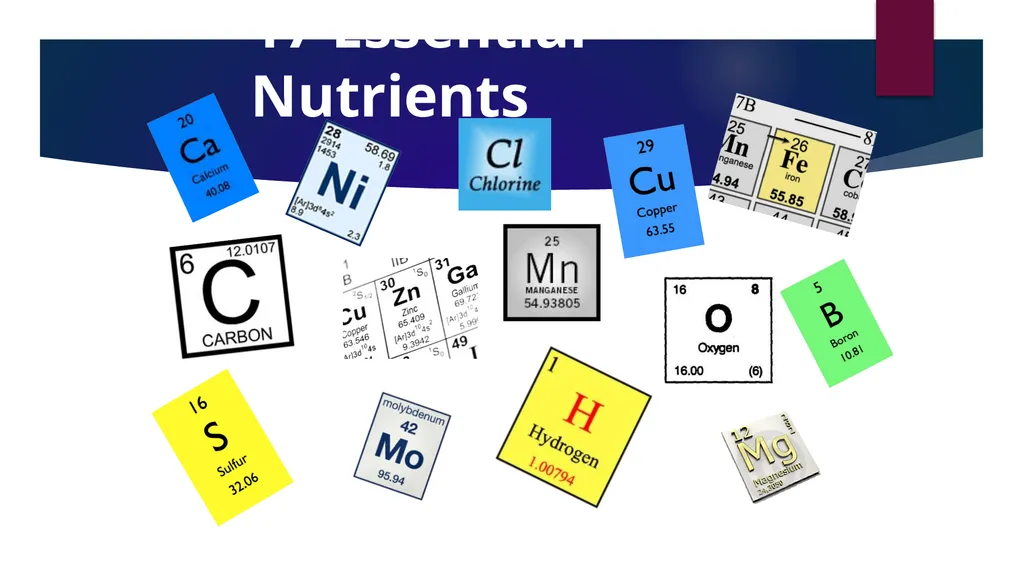 Fertilizer 101 Name Date About Me Where I work Job - slide 12 of 15