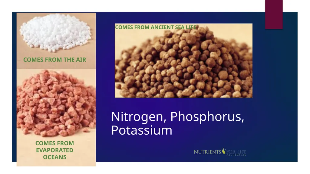Fertilizer 101 Name Date About Me Where I work Job - slide 5 of 15