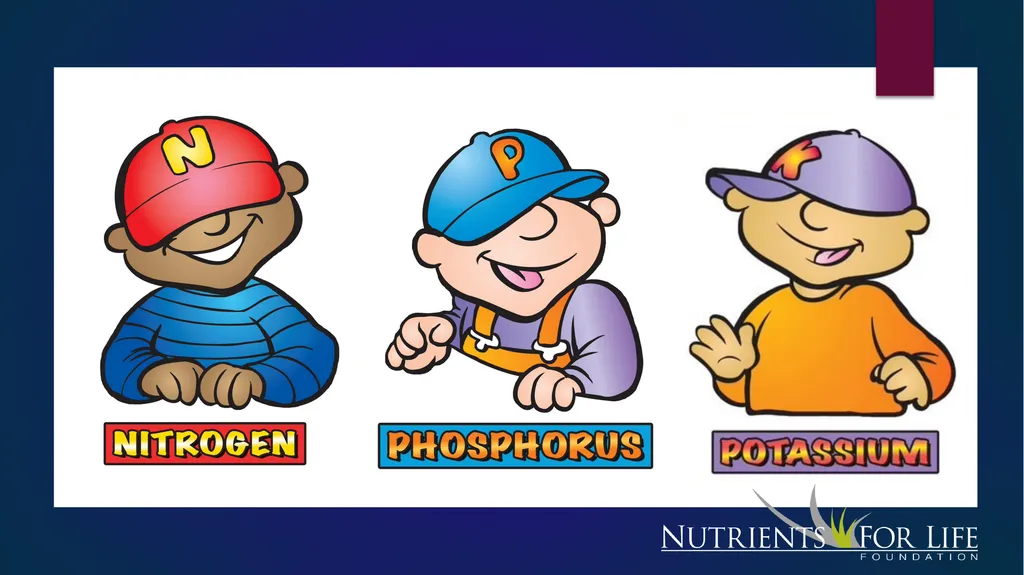 Fertilizer 101 Name Date About Me Where I work Job - slide 3 of 15