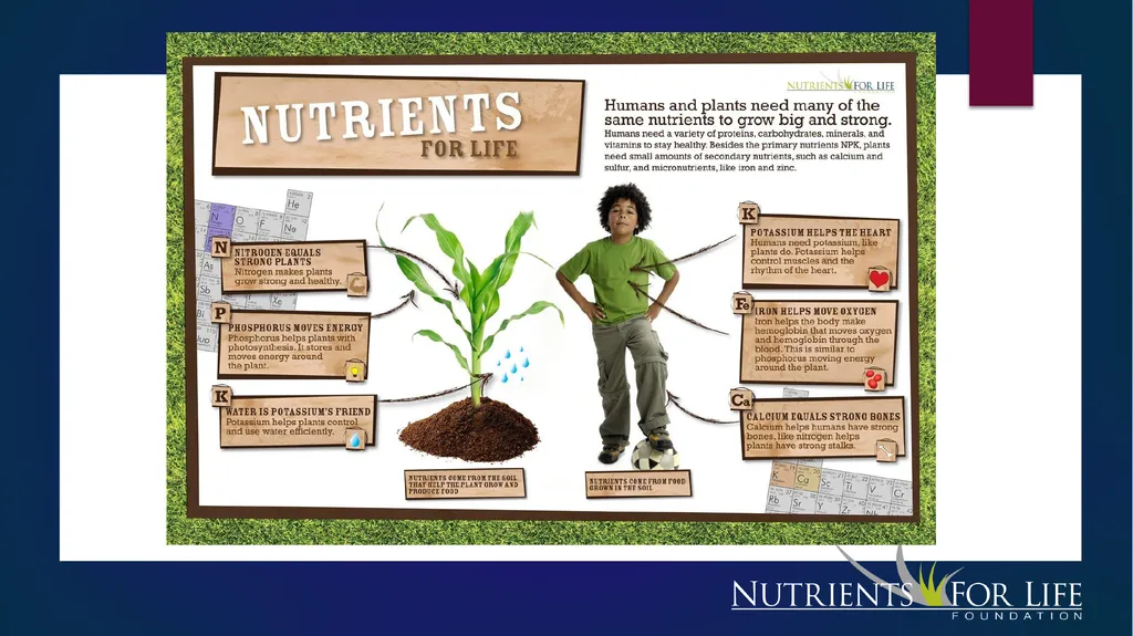 Fertilizer 101 Name Date About Me Where I work Job - slide 4 of 15