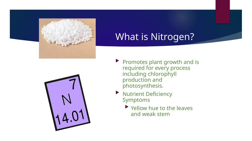 Fertilizer 101 Name Date About Me Where I work Job - slide 6 of 15