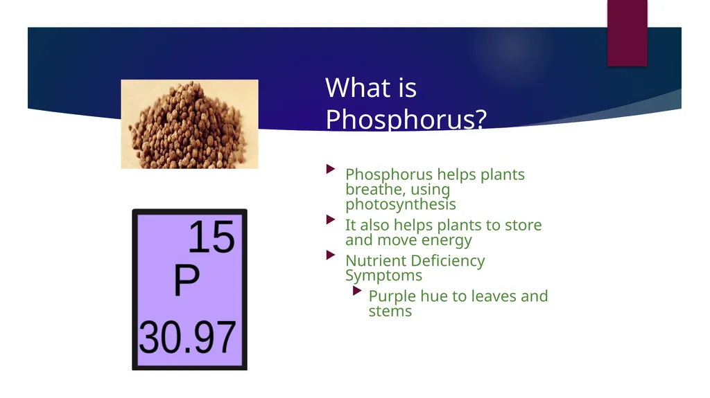 Fertilizer 101 Name Date About Me Where I work Job - slide 8 of 15