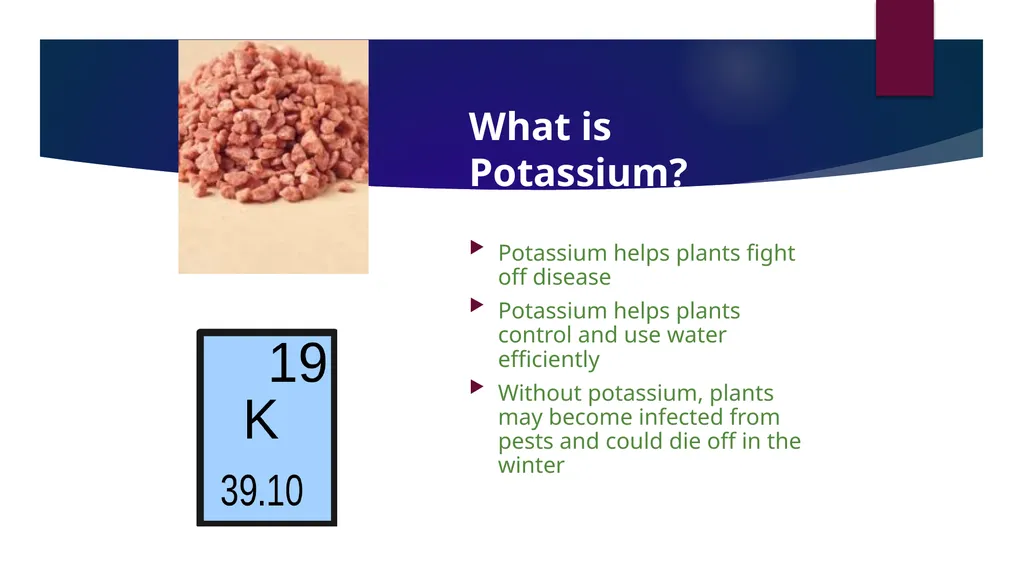 Fertilizer 101 Name Date About Me Where I work Job - slide 10 of 15