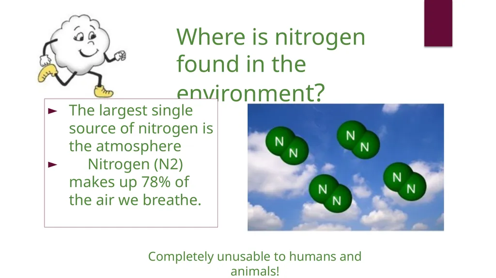 Fertilizer 101 Name Date About Me Where I work Job - slide 7 of 15