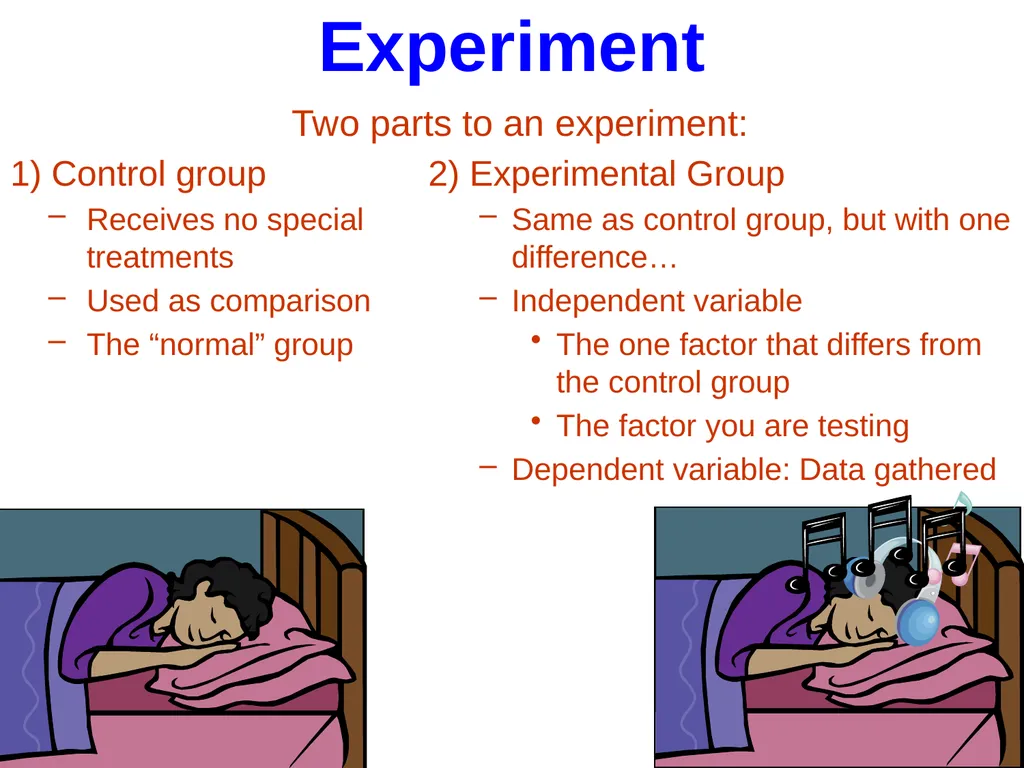 Ask a question/ Identify a problem Construct a - slide 13 of 22