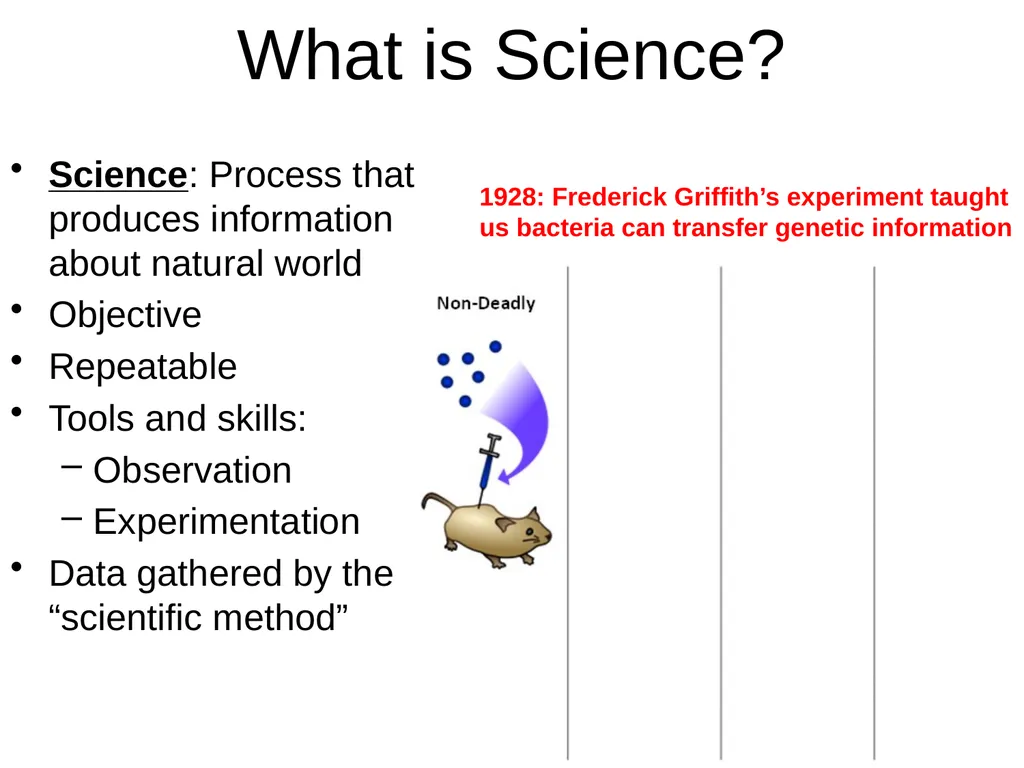 Ask a question/ Identify a problem Construct a - slide 10 of 22