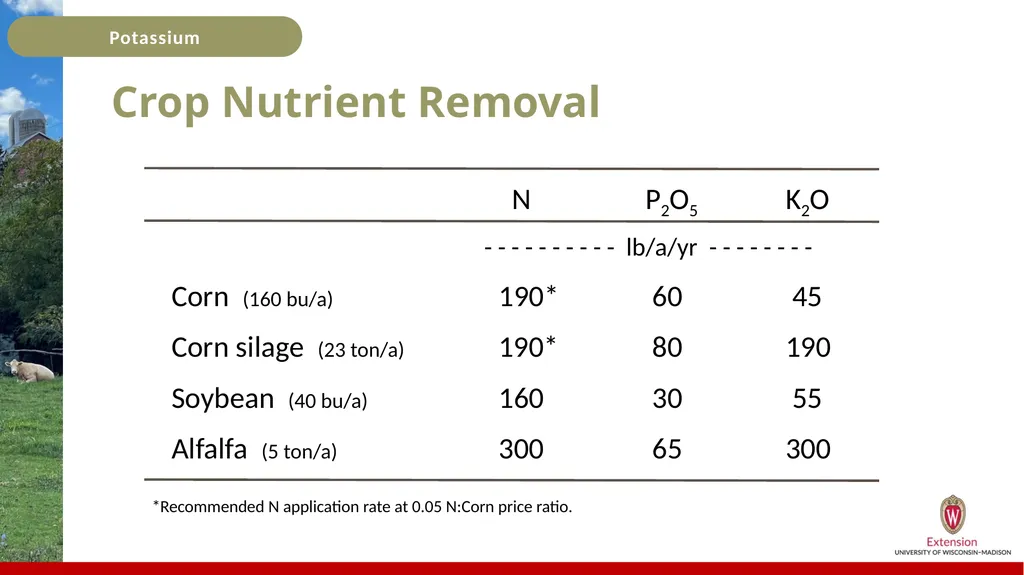 Potassium Basics Potassium Basics Chemical symbol - slide 15 of 24