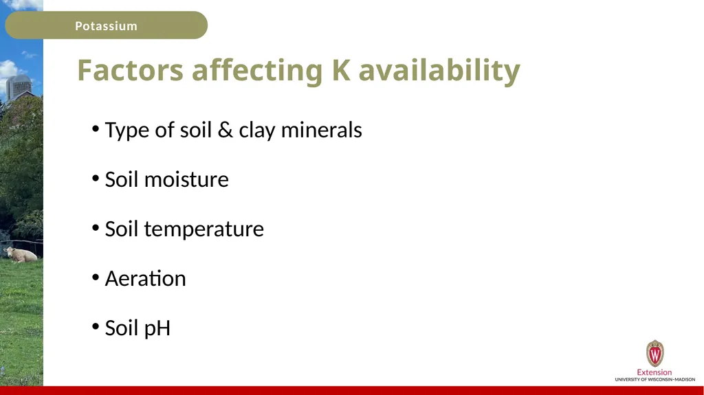 Potassium Basics Potassium Basics Chemical symbol - slide 7 of 24