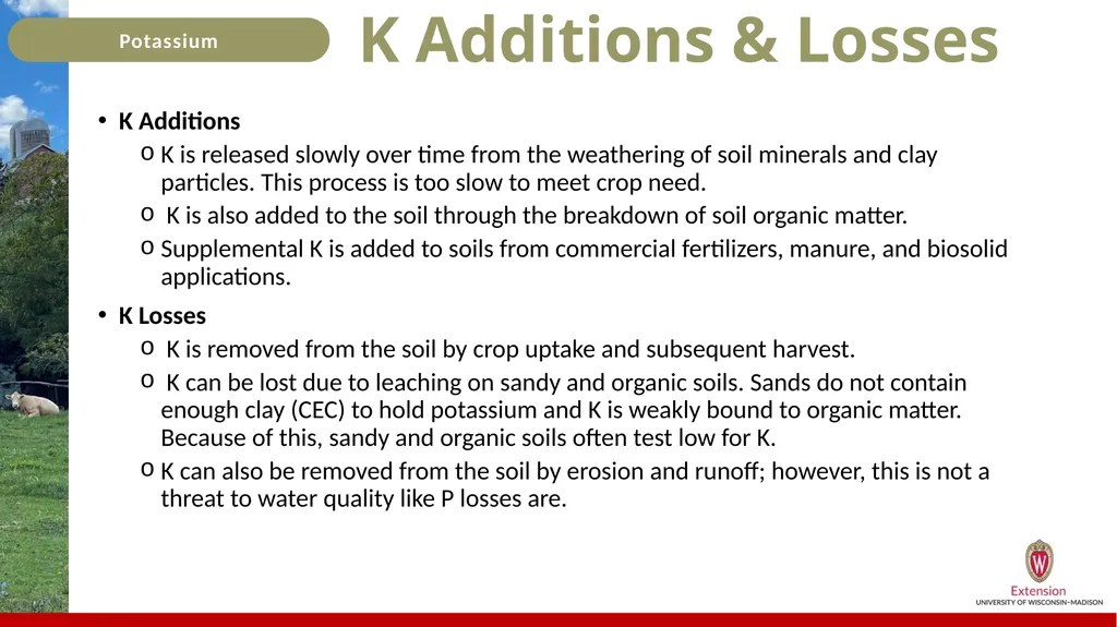 Potassium Basics Potassium Basics Chemical symbol - slide 9 of 24