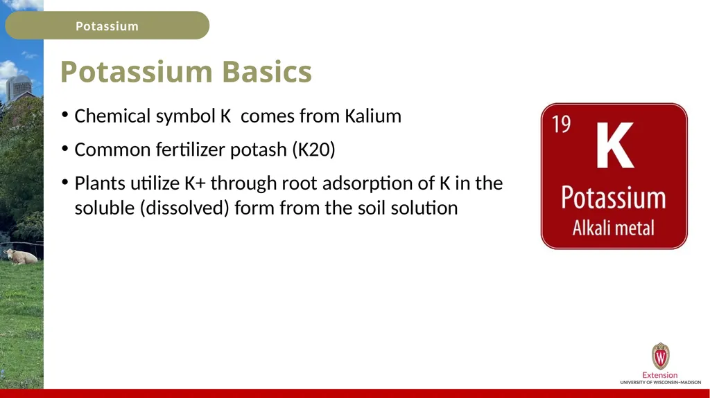 Potassium Basics Potassium Basics Chemical symbol - slide 3 of 24