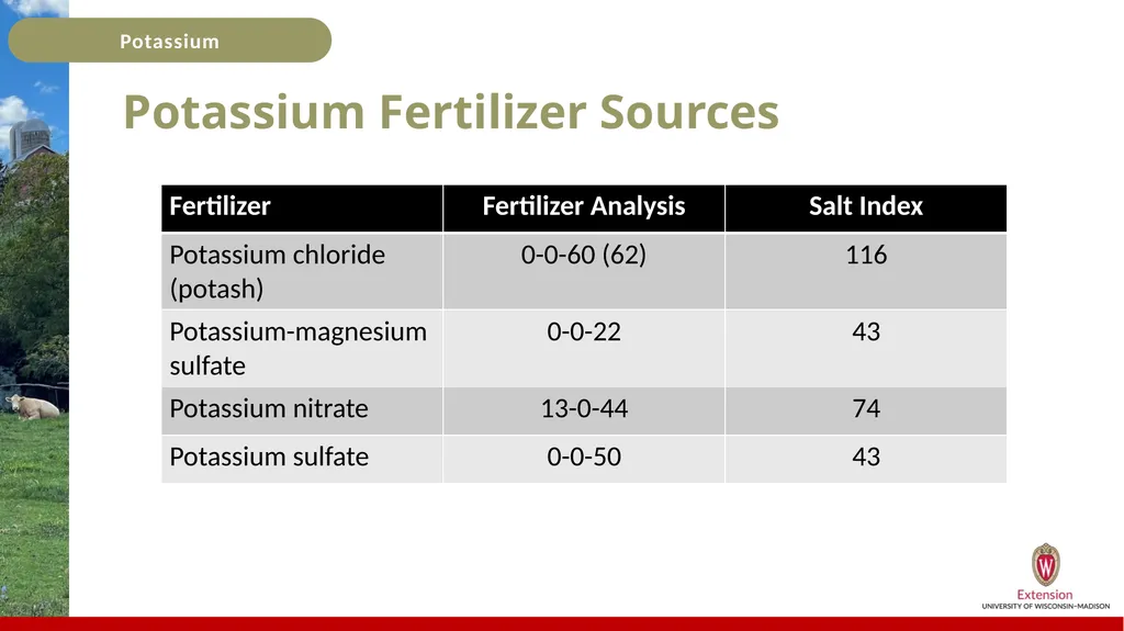 Potassium Basics Potassium Basics Chemical symbol - slide 13 of 24