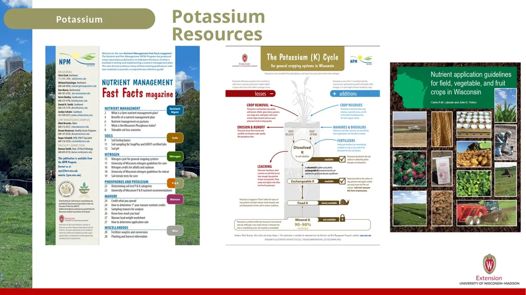 Potassium Basics Potassium Basics Chemical symbol - slide 23 of 24