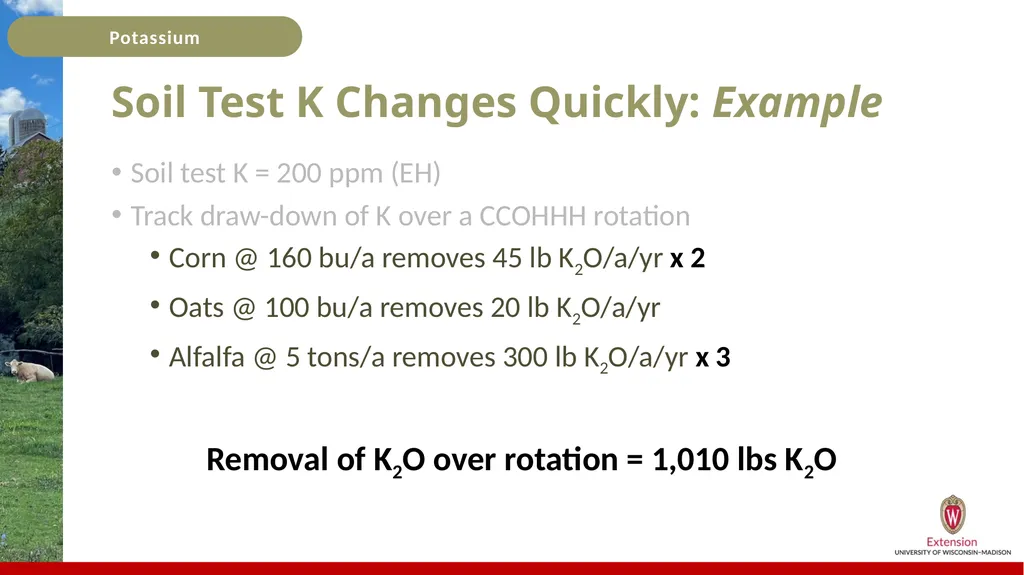 Potassium Basics Potassium Basics Chemical symbol - slide 17 of 24