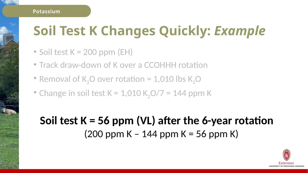 Potassium Basics Potassium Basics Chemical symbol - slide 19 of 24