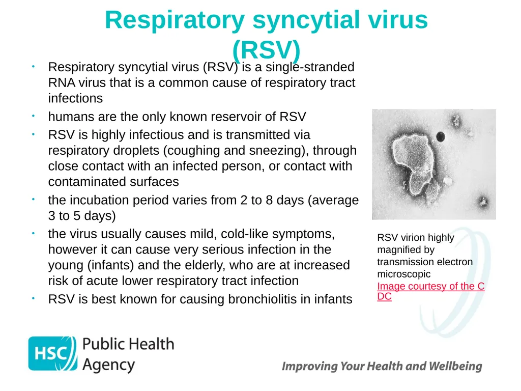 Respiratory syncytial virus (RSV) immunisation for - slide 5 of 39