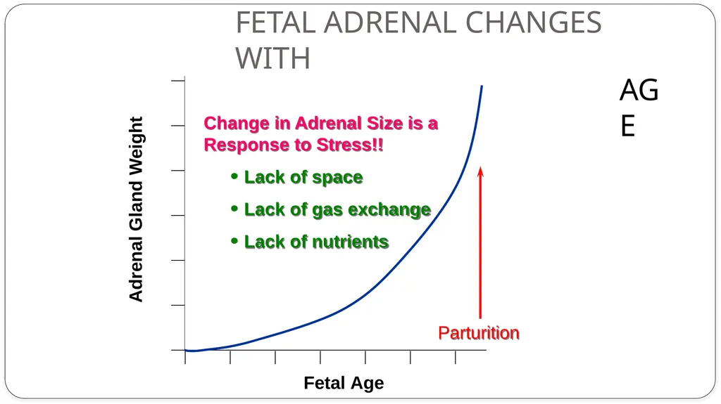 INDUCTION OF PARTURITION & ELECTIVE TERMINATION OF - slide 7 of 28