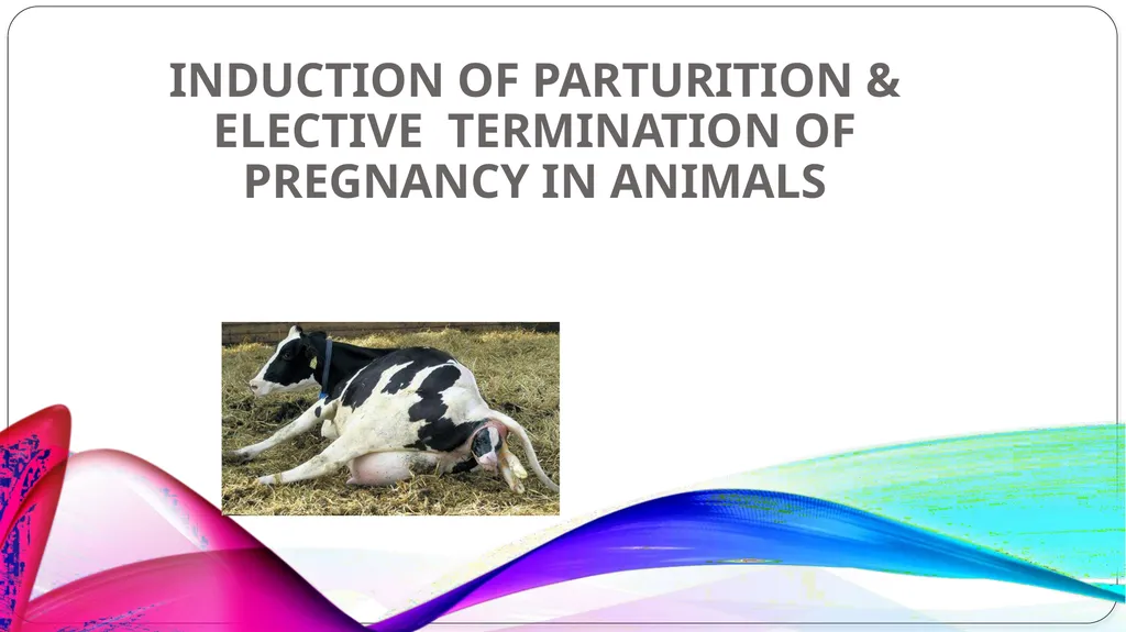 INDUCTION OF PARTURITION & ELECTIVE TERMINATION OF - slide 1 of 28