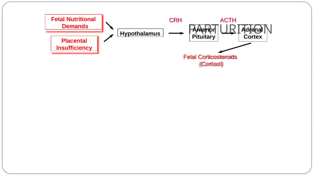 INDUCTION OF PARTURITION & ELECTIVE TERMINATION OF - slide 2 of 28