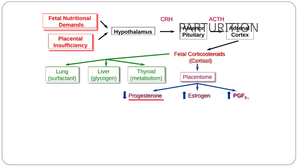 INDUCTION OF PARTURITION & ELECTIVE TERMINATION OF - slide 3 of 28