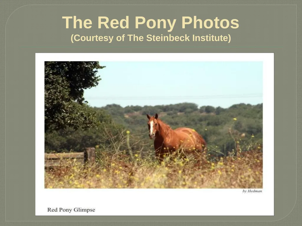 John steinbeck The Red Pony John Ernst Steinbeck - slide 11 of 20