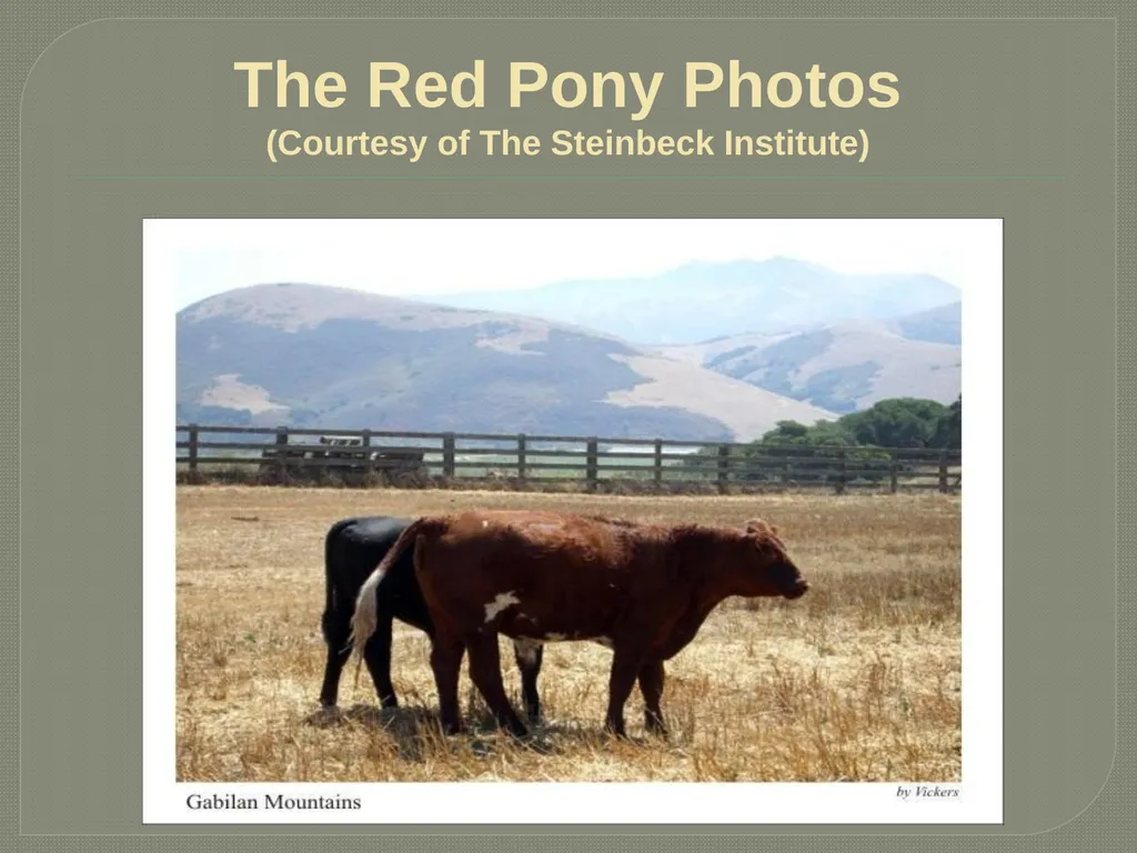 John steinbeck The Red Pony John Ernst Steinbeck - slide 12 of 20