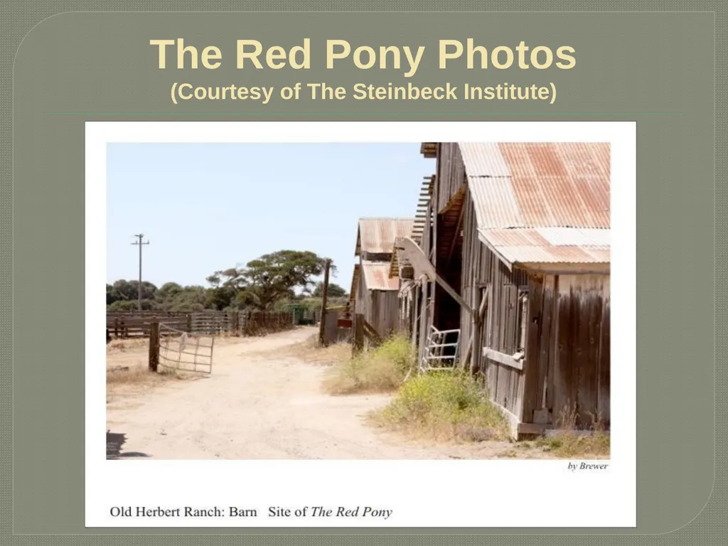 John steinbeck The Red Pony John Ernst Steinbeck - slide 14 of 20