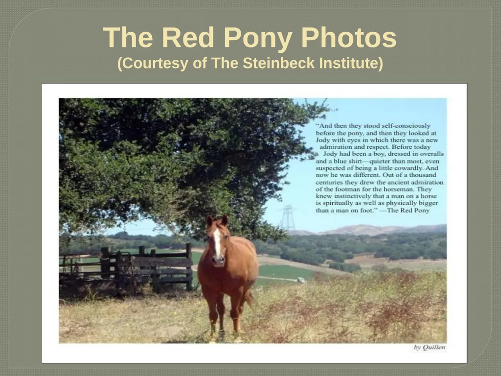 John steinbeck The Red Pony John Ernst Steinbeck - slide 15 of 20