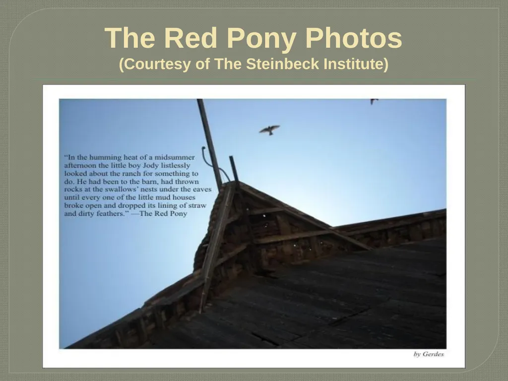 John steinbeck The Red Pony John Ernst Steinbeck - slide 16 of 20