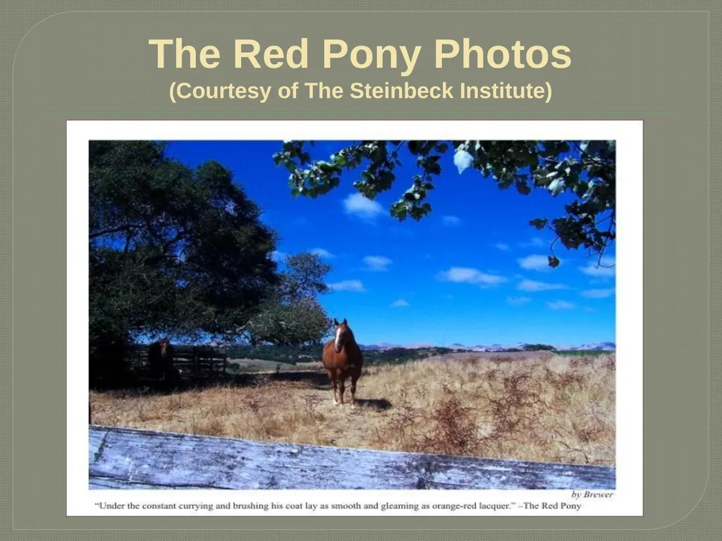 John steinbeck The Red Pony John Ernst Steinbeck - slide 17 of 20