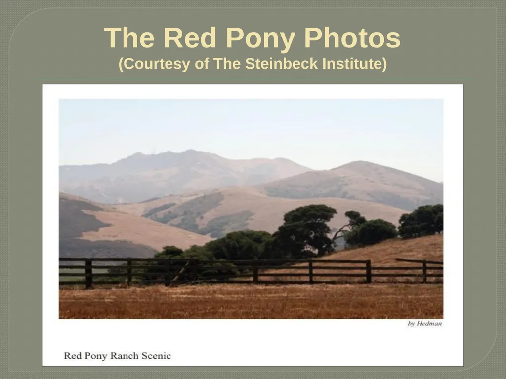 John steinbeck The Red Pony John Ernst Steinbeck - slide 18 of 20