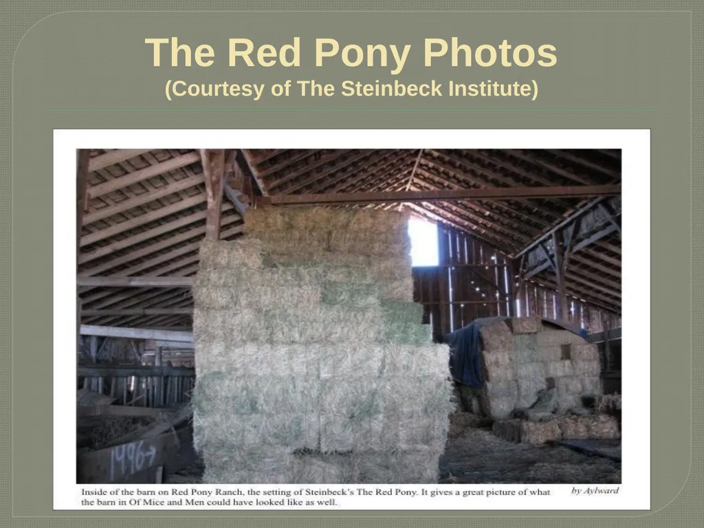 John steinbeck The Red Pony John Ernst Steinbeck - slide 19 of 20